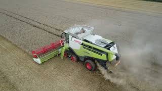 2X CLAAS LEXION 770 TT | Graan dorsen | CLAAS VARIO 1080 | CLAAS VARIO 930