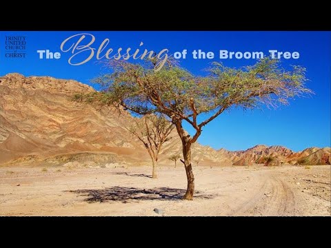 Rev. Dr. Otis Moss III | "The Blessing of the Broom Tree" 7:30AM 11/23/25