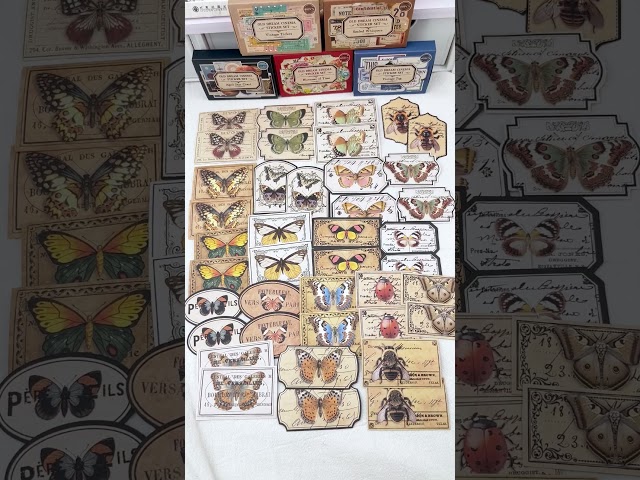 Vídeo relacionado con Chicpant 100 Piezas Pegatinas Aesthetic Stickers Rosas Face Stickers Heart Pegatinas de San Valentín Pegatina Tema Amor Adorno para Tarjeta de San Valentín Journal Album de Recortes