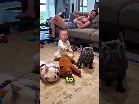 These dogs want you to love them.🥰