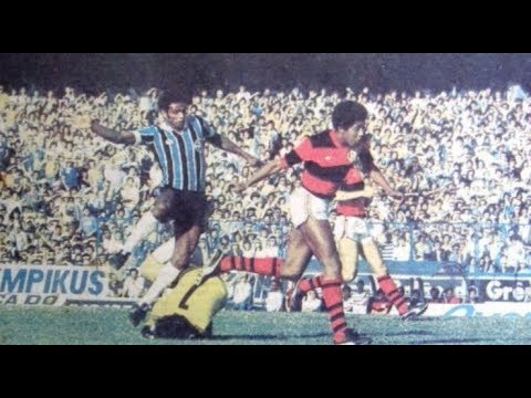 RESUMO NARRADO