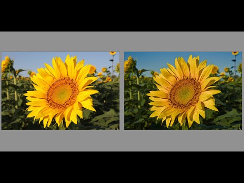 Darktable Episode 63: Use of masking options in the color balance rgb module