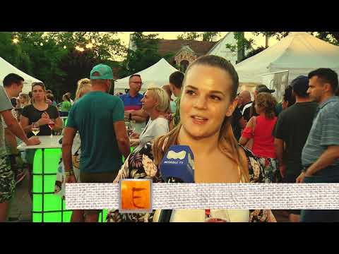 Videó előnézet