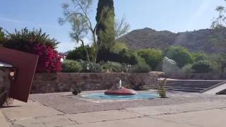 Design Your Garden Consciously