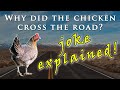Why did the chicken cross the road? Joke explained in slow, easy English!