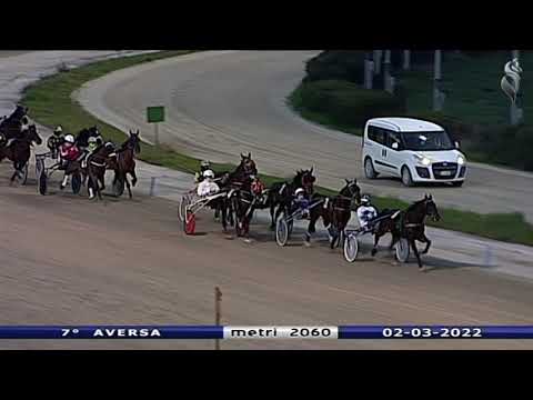 Aversa trotto 2 Marzo 2022 - 7° Corsa