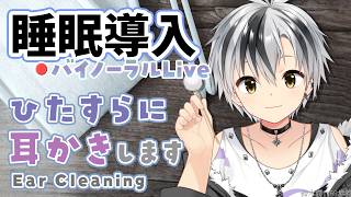 🛑【Binaural/黒3Dio】本気で眠りたい人のためのじっくり奥まで耳かき 2026.5.29【にじさんじ/鈴木勝】
