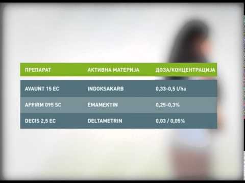 Zelena prognoza, 1.9.2015. - Jabukin i breskvin smotavac u zasadima jabuka