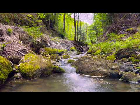kieferphoto - Sommer feelings