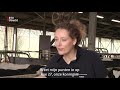 Lente! Dus de koeien mogen weer dansend de wei in  [RTV Utrecht]