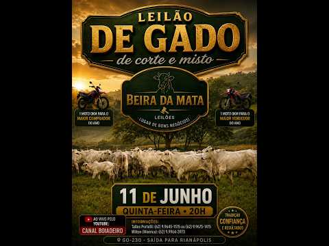 Beira da Mata Leilões - Uruana GO - Leilão de Gado de Corte em Goiás @canal.boiadeiro #live #gado