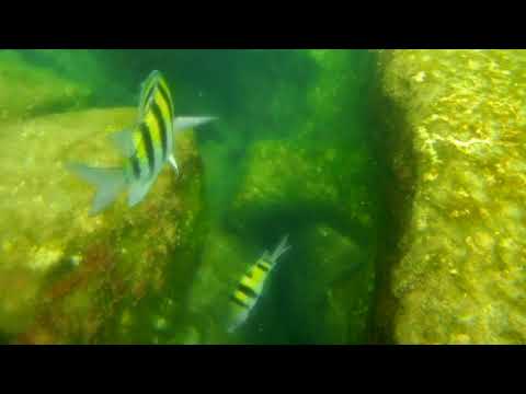 2021 1201 114559 092