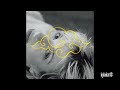 Hayley Williams Whim Near Perfect Instrumental