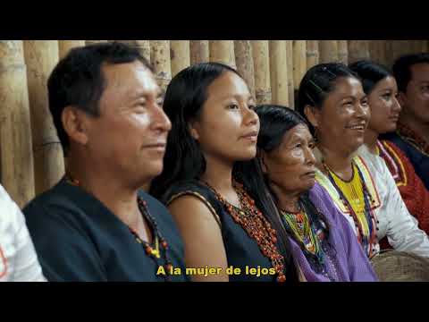 Virsiaru – Kambak (video oficial)