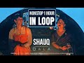 Shauq 1 Hour Nonstop in Loop | Shauq | Qala | Amit Trivedi, Varun Grover | Tripti Dimri, Babil Khan