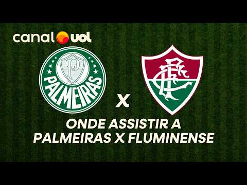 PALMEIRAS VS FLUMINENSE: WHERE TO WATCH THE LIVE BROADCAST OF THE GAME AND TIME FOR THE BRAZILIAN...