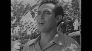 Download lagu TIGA DARA The First Indonesian Musical Film mp3 Download lagu TIGA DARA The First Indonesian Musical Film mp3