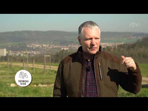 Pozemkové úpravy v ČR