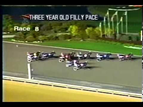 2001 BREEDERS CROWN Filly Pace