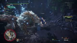 熟練の初心者がアイスボーン初見プレイpart16～無双の狩人編～