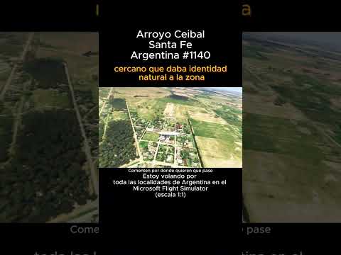 Arroyo Ceibal, Santa Fe desde el Microsoft Flight Simulator #arroyoceibal #santafe #msfs #argentina