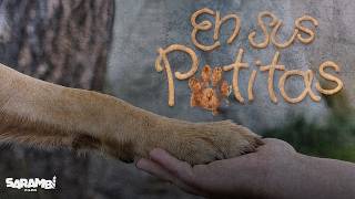 "En Sus Patitas" - Documental | Sarambí Films - FADyCC