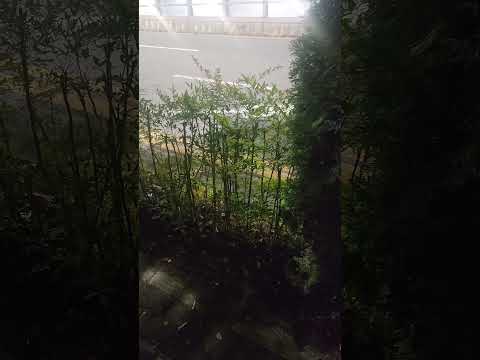 오늘도 1공수 17만원 | 반도체 현장 출근 브이로그 #노가다브이로그 #평택반도체