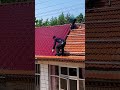 Insulation and waterproof roof renovation process- Good tools and machinery make work easy