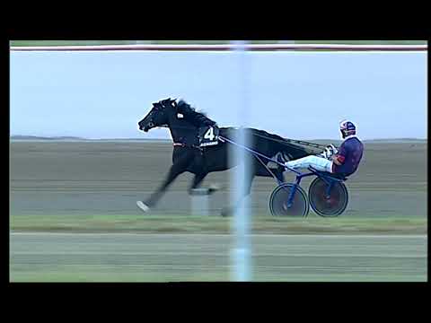 Napoli Trotto 19/06/2021 - 3ª corsa