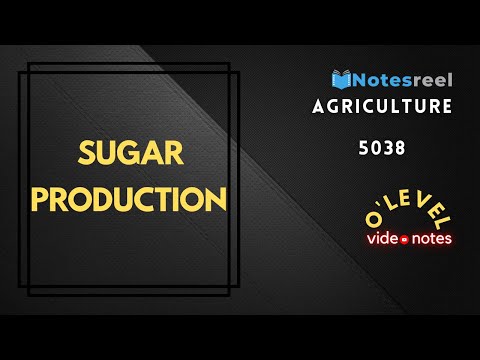 Sugar Production | O Level Notes Agricultural 5038
