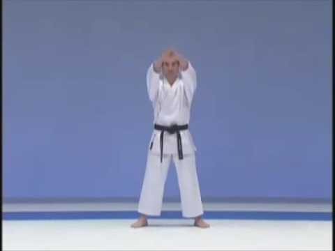 Kata Kushanku with bunkai