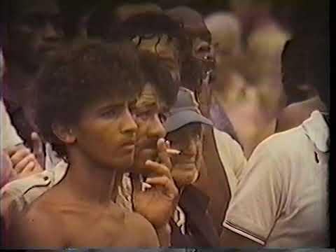 Carioca 1980. Fluminense 1 x 0 Vasco