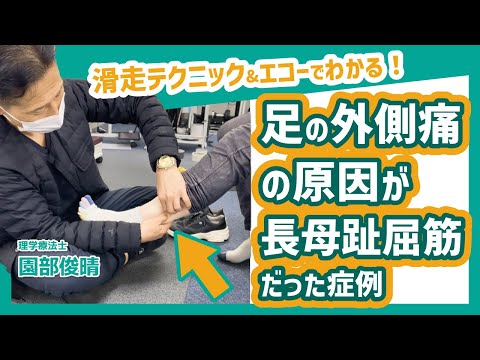 長母趾屈筋について詳しく解説