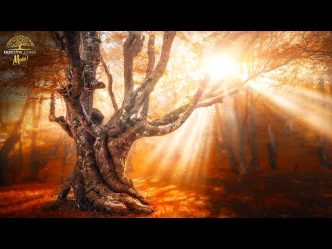 Entspannungsmusik für stressfreie Tiefenentspannung - Magischer Herbst zum entspannen