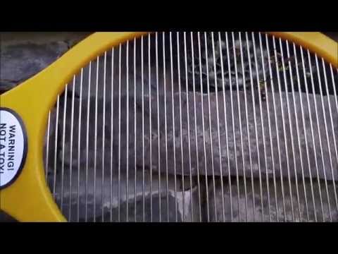 Destroying a Hornets nest with an Electric Fly Swatter!