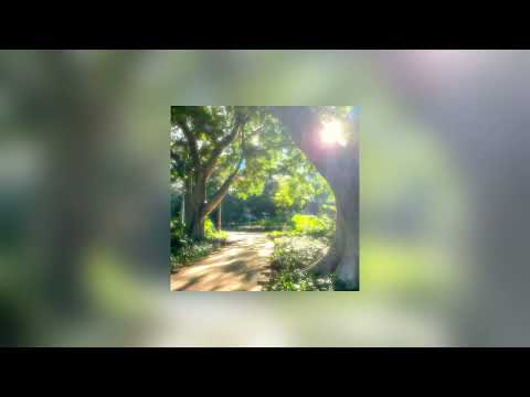 School rooftop (bird sounds) Hisohkah WMD.Sleep song