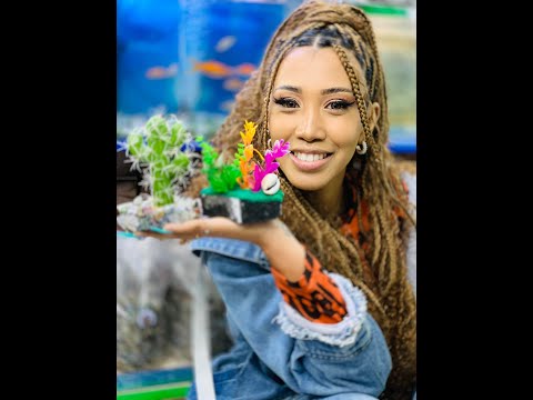 Antso Bommartin FAQ TAHIRY...