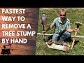 How To Remove A Tree Stump By Hand In 20 Minutes Or Less