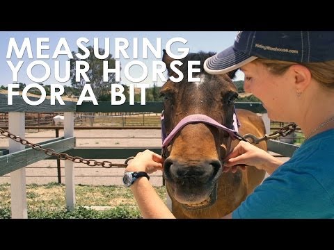 YouTube video about: How to measure for a horse bit?