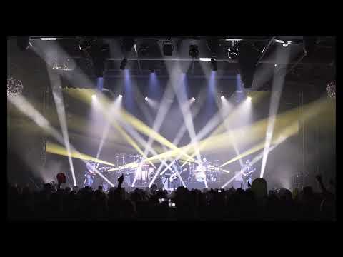 Lotus "Elephant" 10.31.21