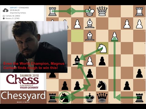 Magnus Carlsen vs David Navara, Shamkir Chess 2018 - Caro Kann Defense is tough for Magnus to Break!