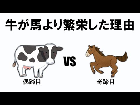 十脚目について詳しく解説