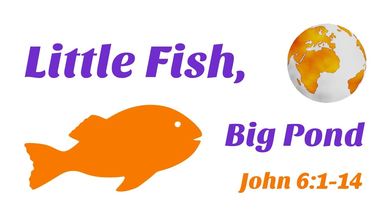 Little Fish, Big Pond