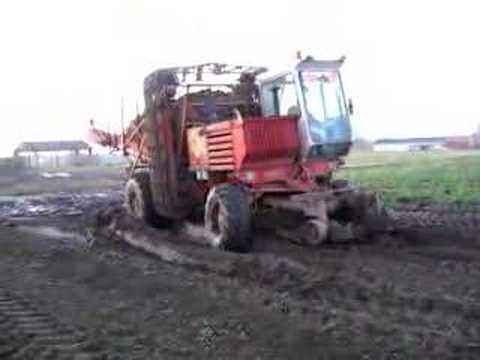 dewulf R6000  loading celeriac