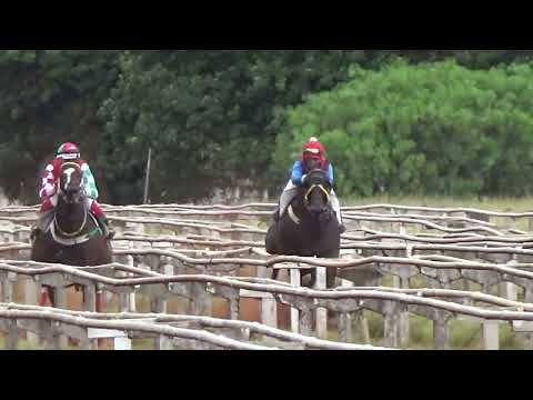 I GP JOAQUIM PAVOSKI DAPPER - 450M - 1st ELIMINATION ROUND - CARAZINHO - PAAISANADO