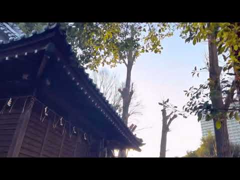 First Shrine Visit New Year Japan Traditions
