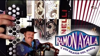 El disgusto acordeon (Con adornos)