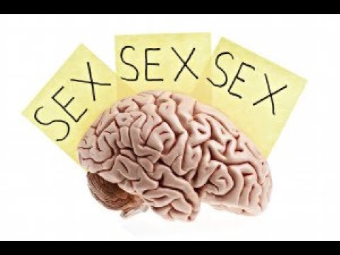 Pornography, Sex & Mental Health with Dr  Neil Nedley   Pt 2
