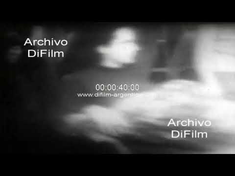 Brazilian revolutionaries liberated in Algeria - 1970 ARCHIVE FOOTAGE