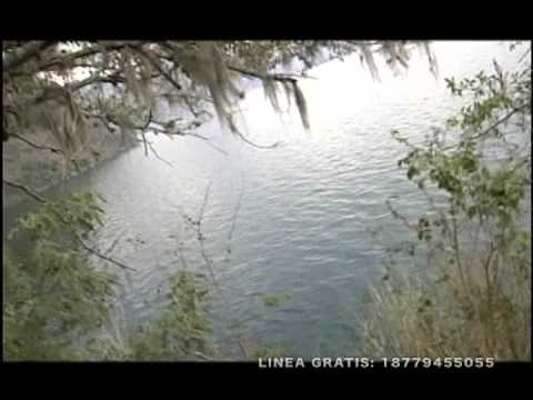 Miles de Penas - Estela Vicente